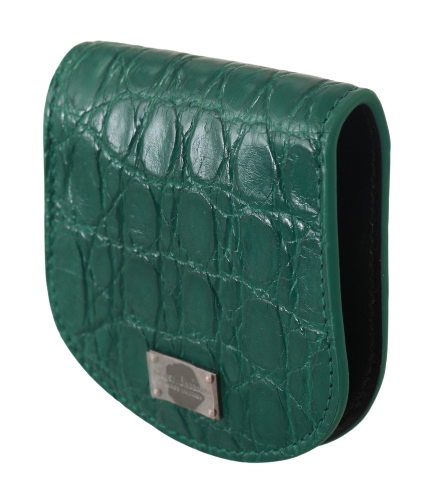 Dolce & Gabbana Green Exotic Skins Cm Case Holder Wallet