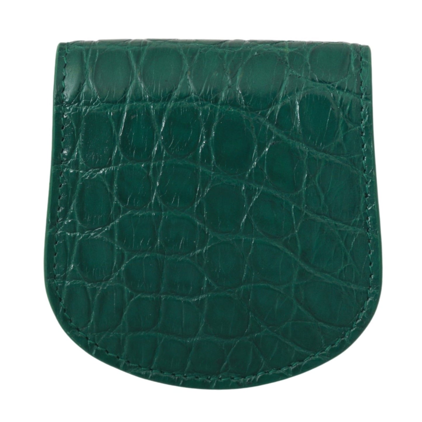 Dolce & Gabbana Green Exotic Skins Cm Case Holder Wallet