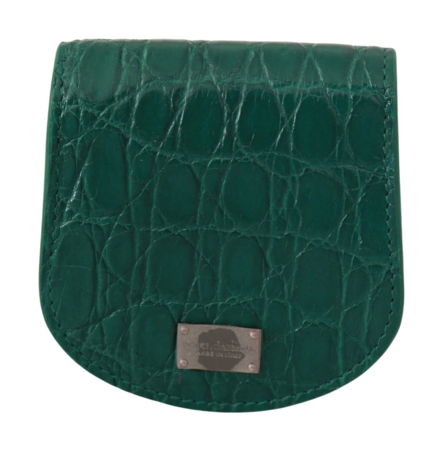 Dolce & Gabbana Green Exotic Skins Cm Case Holder Wallet
